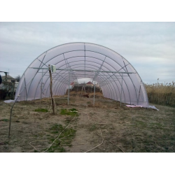 Фермерські теплиці